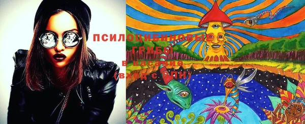 марки nbome Дмитриев