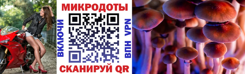 Галлюциногенные грибы мицелий Сосновка
